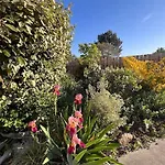 Agreable Maison Landaise Proche Du 펜션 상기네