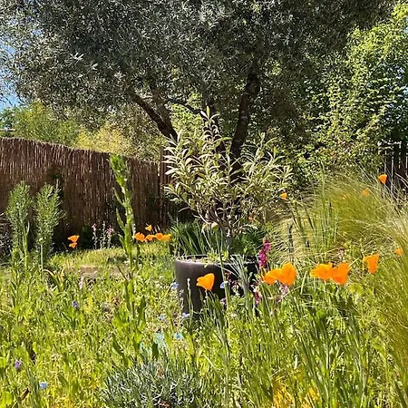 Agreable Maison Landaise Proche Du Vakantiehuis Sanguinet