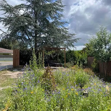 Agreable Maison Landaise Proche Du * Sanguinet