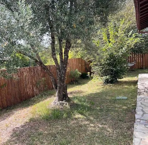 Vakantiehuis Agreable Maison Landaise Proche Du *