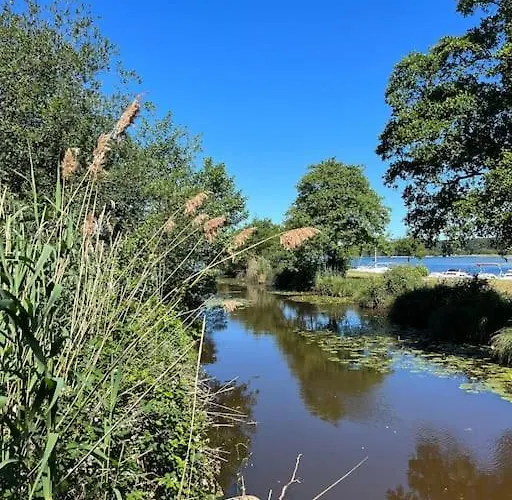 Agreable Maison Landaise Proche Du Vakantiehuis Sanguinet