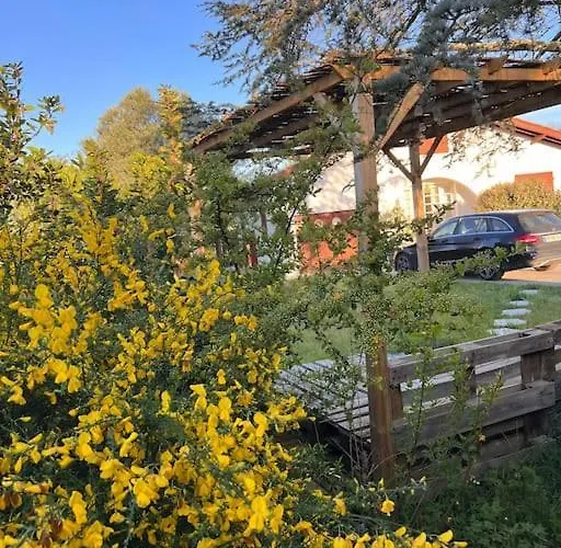 Agreable Maison Landaise Proche Du *