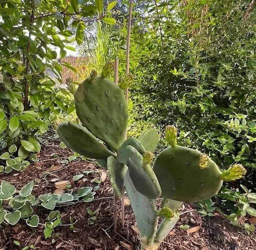 Agreable Maison Landaise Proche Du Vakantiehuis