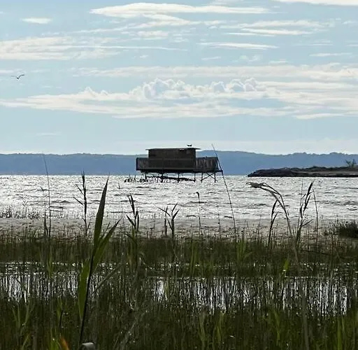 Agreable Maison Landaise Proche Du
