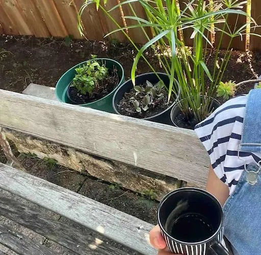 Agreable Maison Landaise Proche Du *