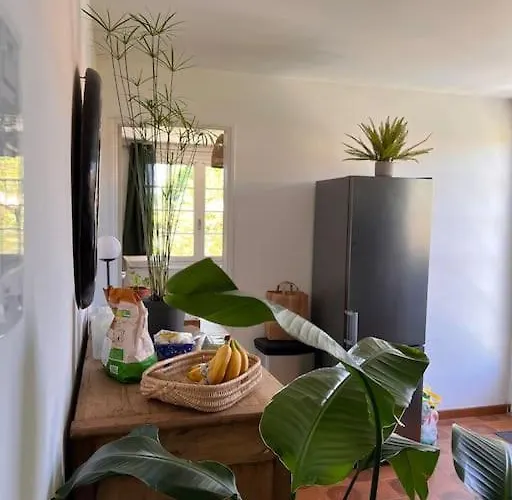 Vakantiehuis Agreable Maison Landaise Proche Du Sanguinet