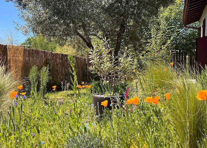 Agreable Maison Landaise Proche Du Vakantiehuis Sanguinet