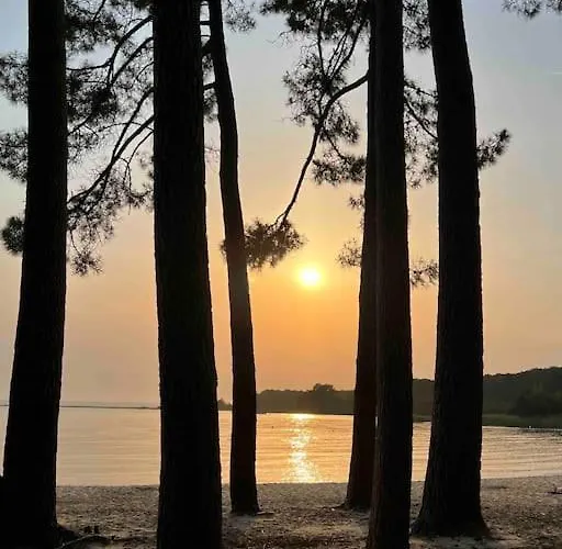 Agreable Maison Landaise Proche Du Vakantiehuis Sanguinet