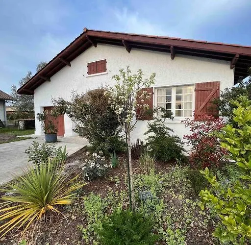 Vakantiehuis Agreable Maison Landaise Proche Du
