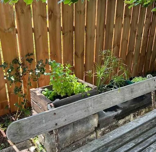 Agreable Maison Landaise Proche Du * Sanguinet