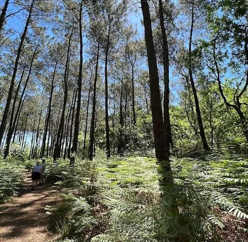 Agreable Maison Landaise Proche Du Vakantiehuis *