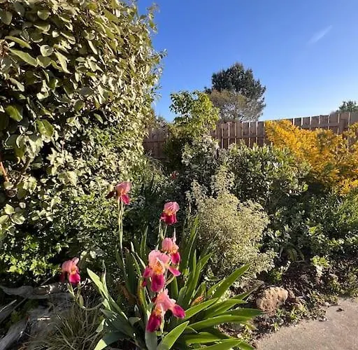 Agreable Maison Landaise Proche Du Vakantiehuis Sanguinet