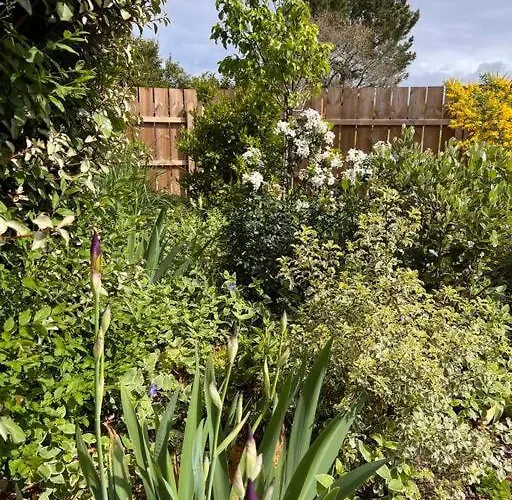 Agreable Maison Landaise Proche Du *