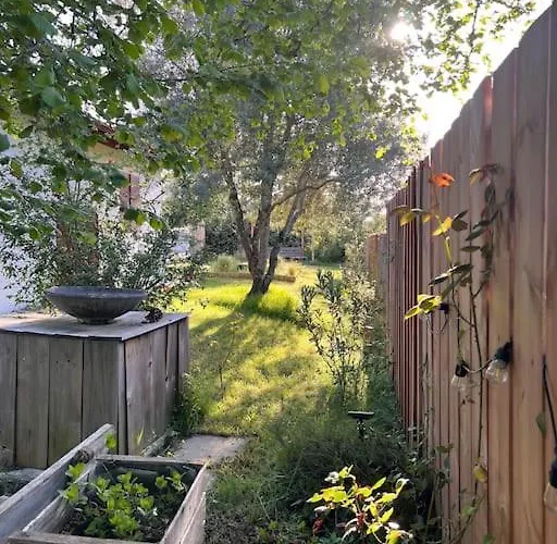 Agreable Maison Landaise Proche Du Sanguinet