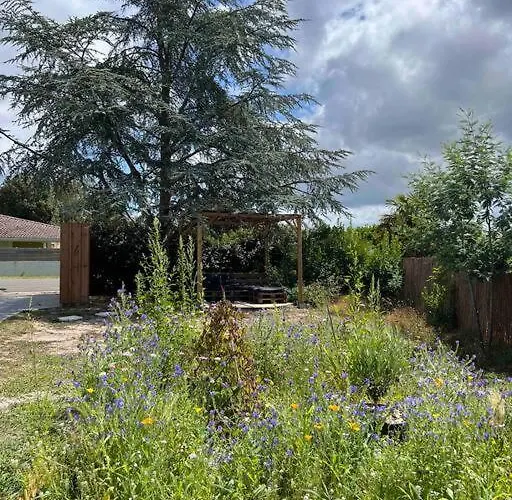 Agreable Maison Landaise Proche Du * Sanguinet